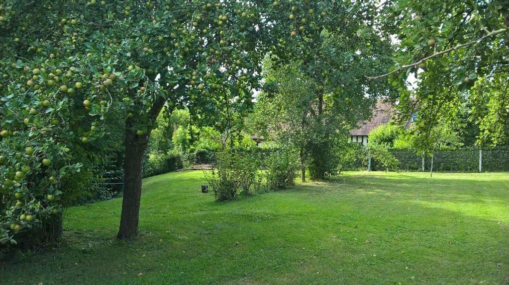 Holiday home La Martiniere - Au Cours Du Ruisseau